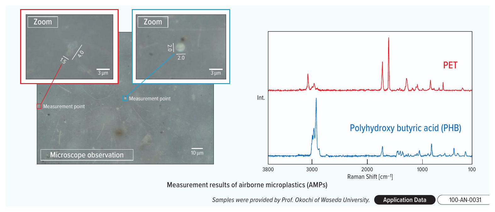 Raman Microscope Observation