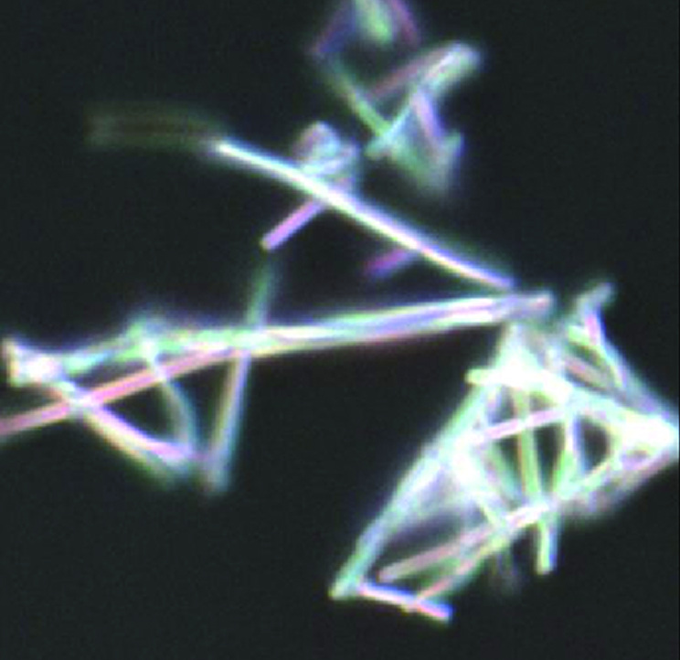 TiO2 sample optical observation image