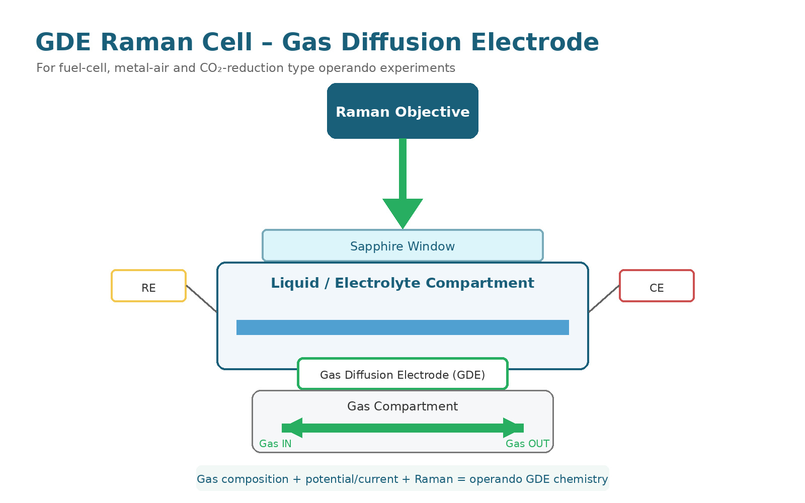 Gas diffusion electrode GDE operando Raman cell schematic