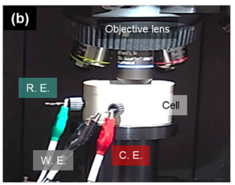 [Raman] Electrochemical & Battery Cell